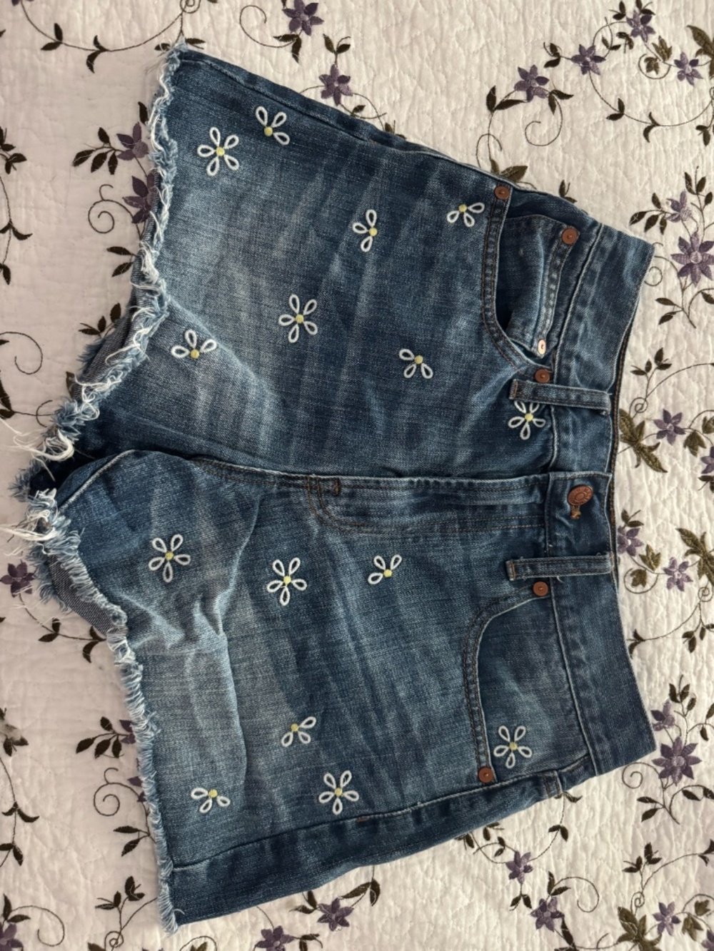 Madewell Daisy Shorts (TWO PAIRS) Size 27